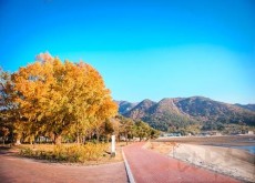 신전숲 정원화 추진, ‘숲과 바다..